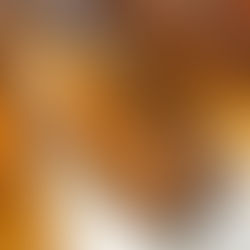 Don Julio, el tequila que celebra la moda en Latino América.