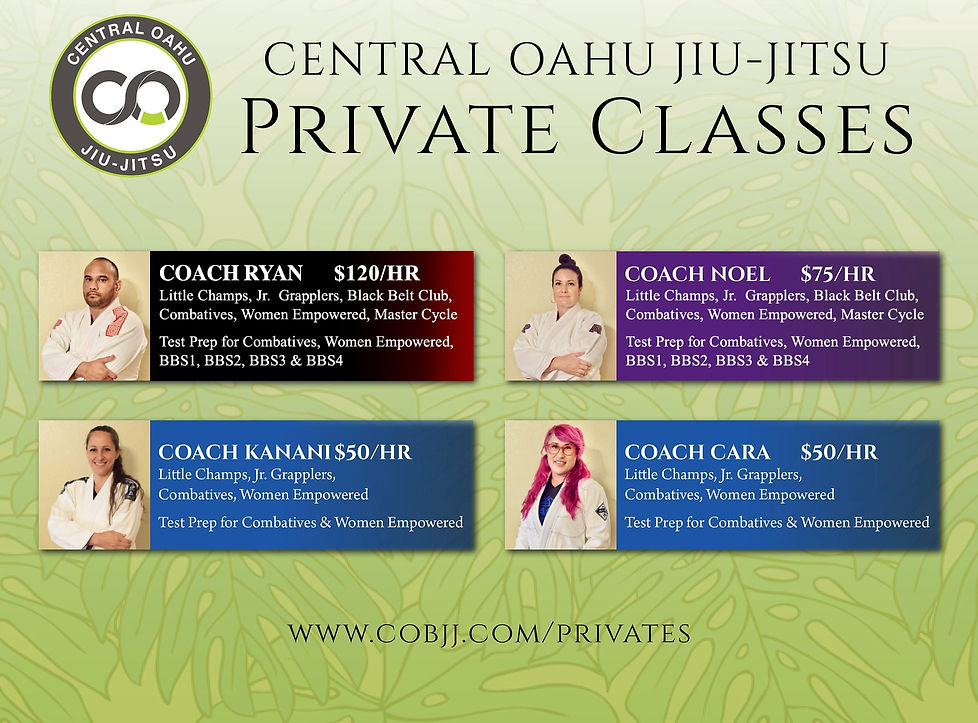 COBJJ Private Class Web Image3.jpg