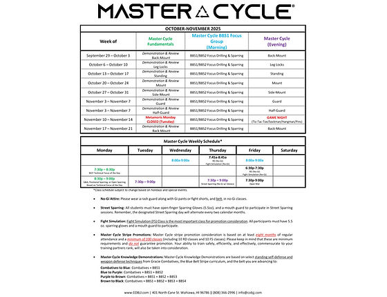 p90x2 schedule printable
