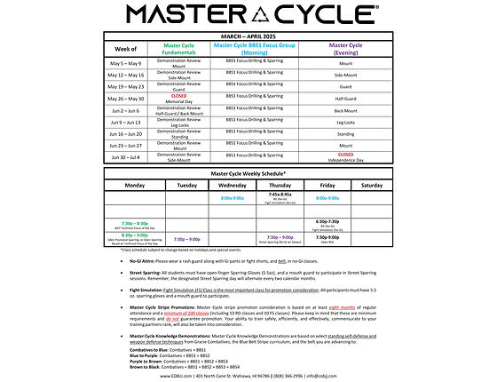 p90x2 schedule pdf