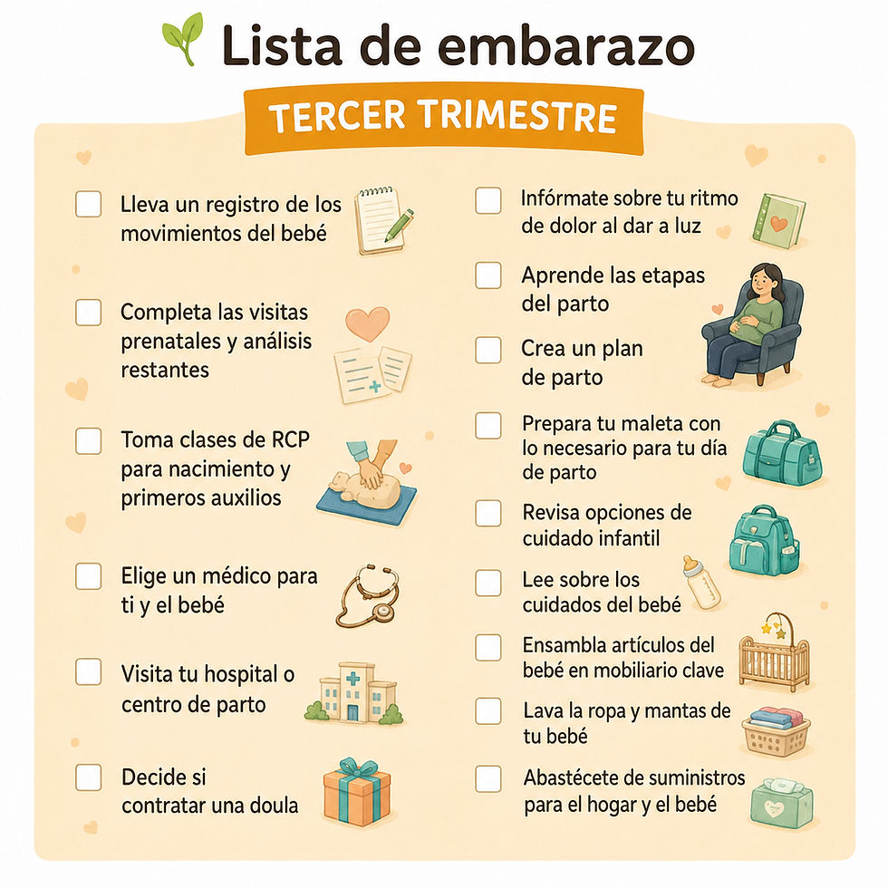 El tercer trimestre de gestación (semana 28 hasta la semana 40 o hasta el nacimiento)