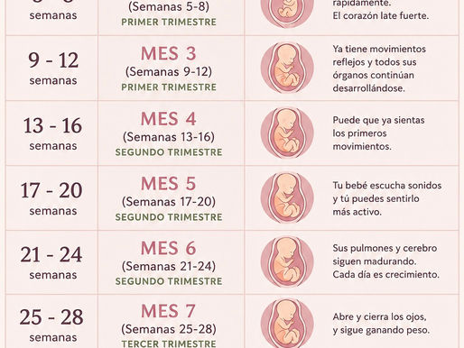 Embarazo: Semanas vs. Meses