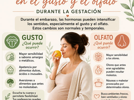 Cambios sensoriales en el gusto y el olfato durante la gestación