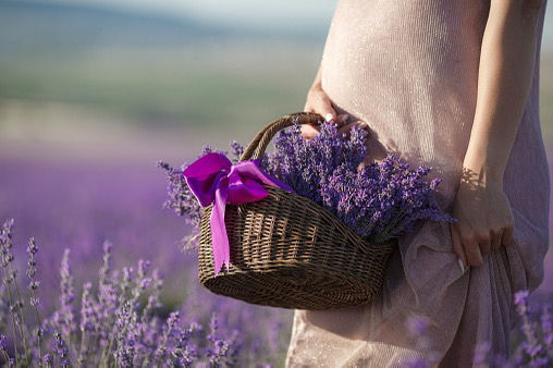 Beneficios de las cremas con infusión de lavanda durante la gestación