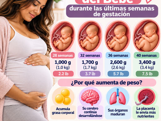 Aumento de peso del bebé durante las últimas semanas de gestación (tercer trimestre)