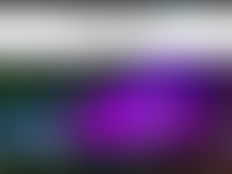 In the Press : Brisbane Times Article