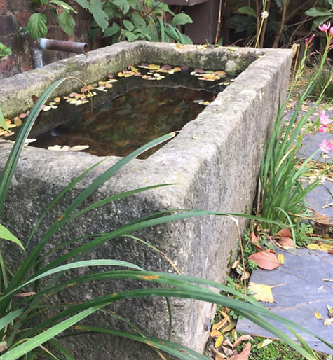 Screenshot 2025-05-13 at 13.49.47.png