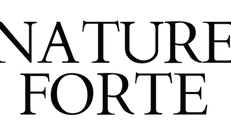logo-noir-2-fond-transparent-1536x847.png