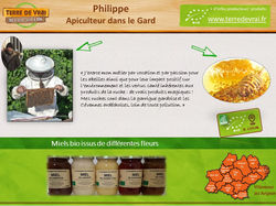 apiculteur philippe.jpg