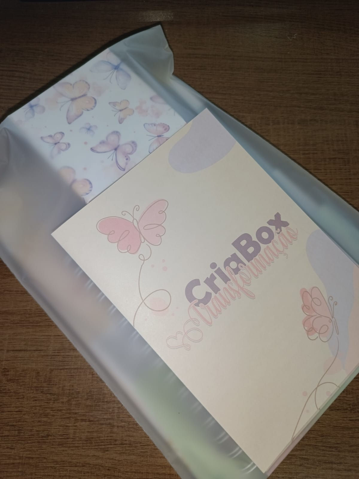 CriaBox Transformação – Edição 01 (avulsa)