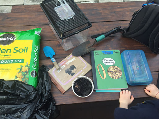 Why Homeschooling?