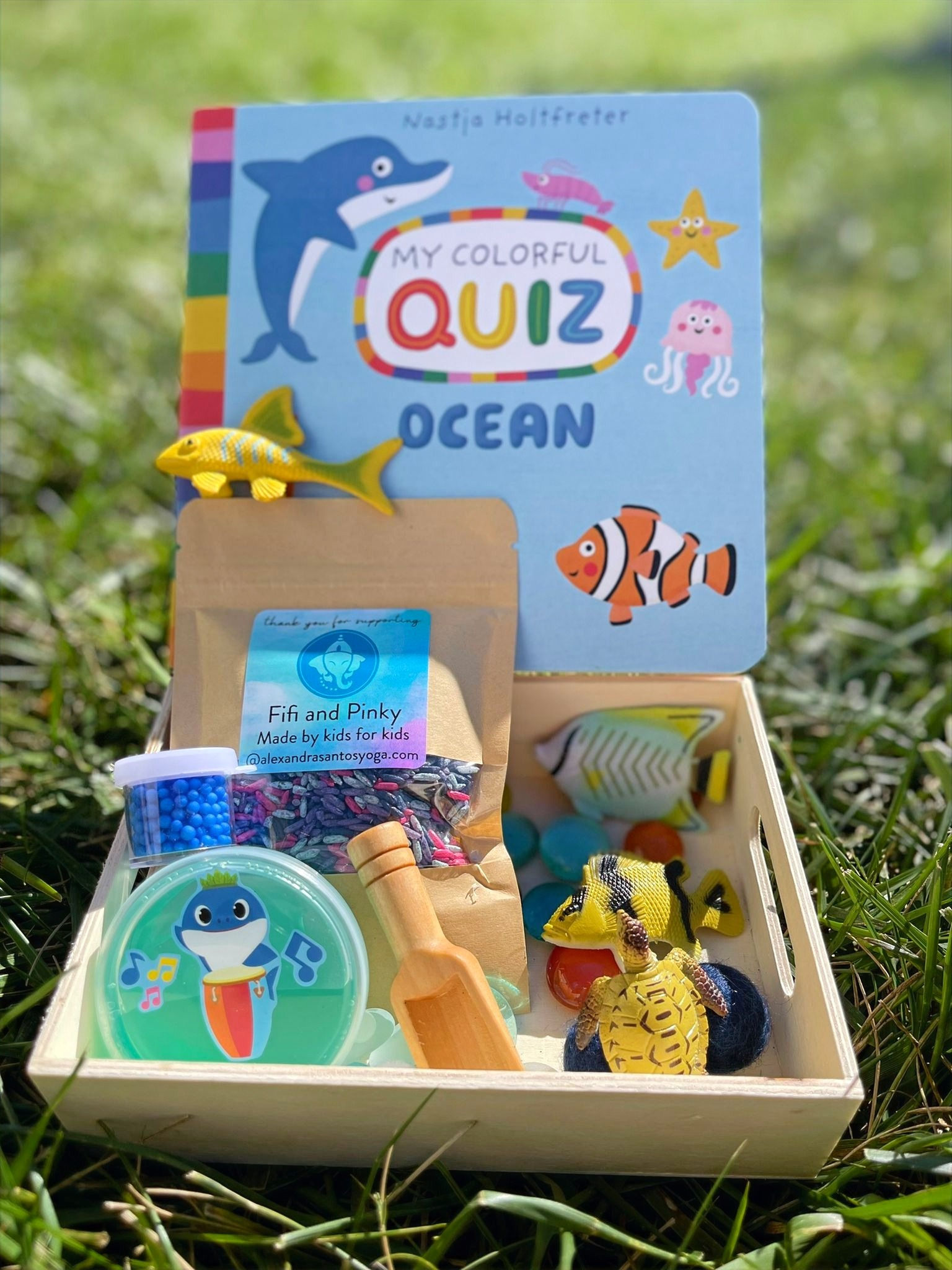 OUT OF STOCK Ocean - Travel size. Half cup sensory filler bag. ($29 + Shipping)