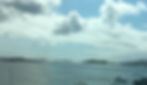 thumbnail_IMG_3479.jpg