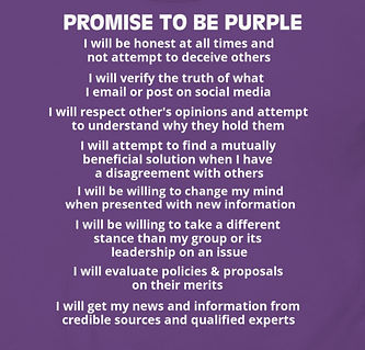 PurplePromise_edited.jpg