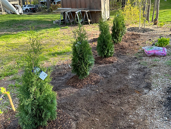 New garden plantings and flowers installed by Recon Landscaping in Kennebunk, Maine
