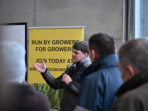 MGA joins collaborative project tounlock the potential of legacyphosphorus in maize soils