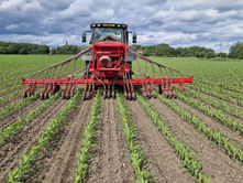NEW UNDERSOWING MAIZE INTERACTIVE TOOL & GROWERS GUIDE