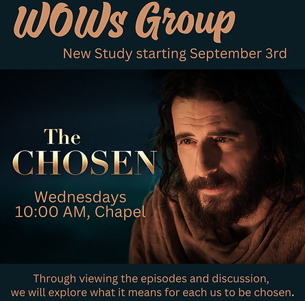 WOWS (Instagram Post).png