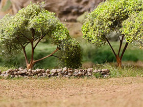 Promenade sur un chemin de terre