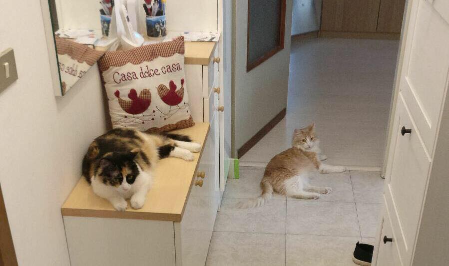 Fiocco y Cristal