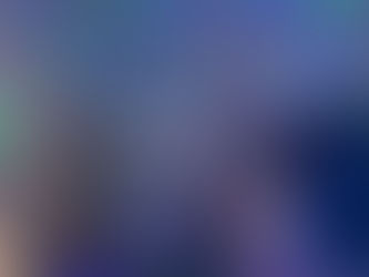 Why Cat Ultrasound Matters: Advanced Feline Care at Las Vegas Cat Hospital