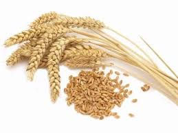 Thumbnail: Wheat Germ Oil