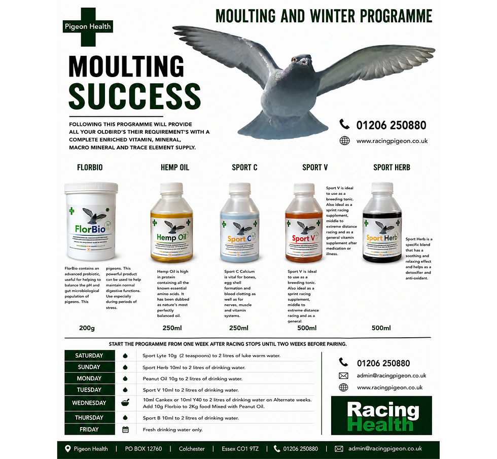 Thumbnail: Moulting & Winter Programme