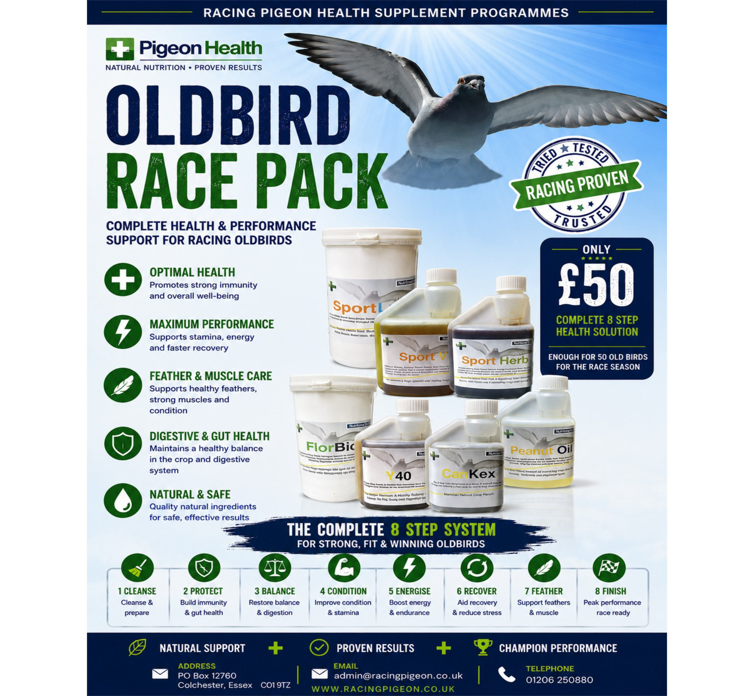 Old Bird Race Programme