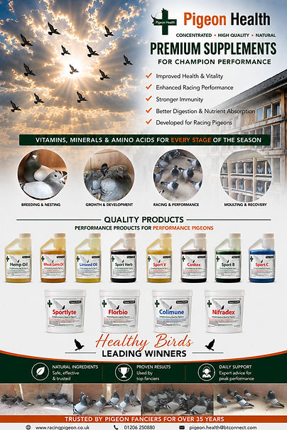 Pigeon Healthg Supplements.jpg