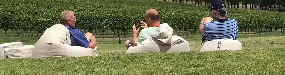 Three men in summer clothing sitting on beanbags on a lawn overlooking grape vines at a winery