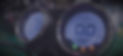 Y1_edited.jpg