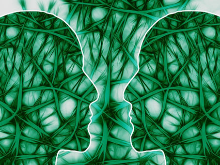 Abstract illustration of two human head silhouettes facing each other, filled with an interconnected pattern of green neural pathways, symbolizing communication and the nervous system.