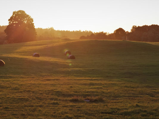 The Gently Rolling Hills