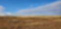 20201103_130922_resized.jpg