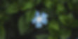external-file_edited.jpg