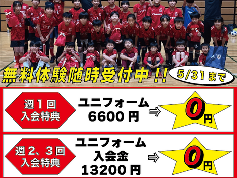 5/31まで!! 【春の新規入会キャンペーン!!】