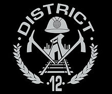 hunger-games-district-12-shirt.jpg