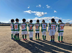 image_xlarge (28)_edited