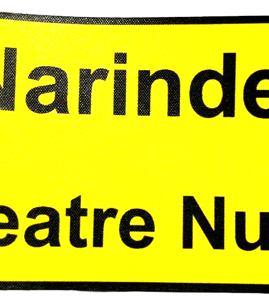 Eco Ninjas Yellow name badge , With Narinder Theatre Nurse