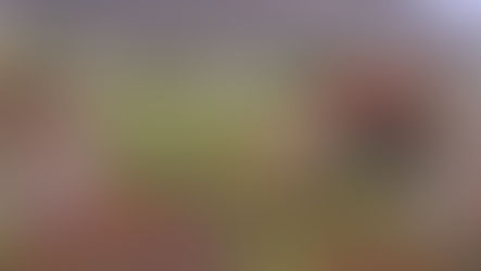 KRRA Joins Calls to Save Capri Common