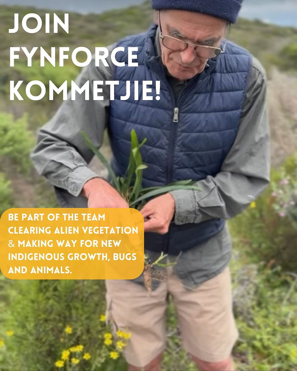 Join Fynforce Kommetjie!