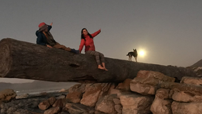 By the light of the silvery moon