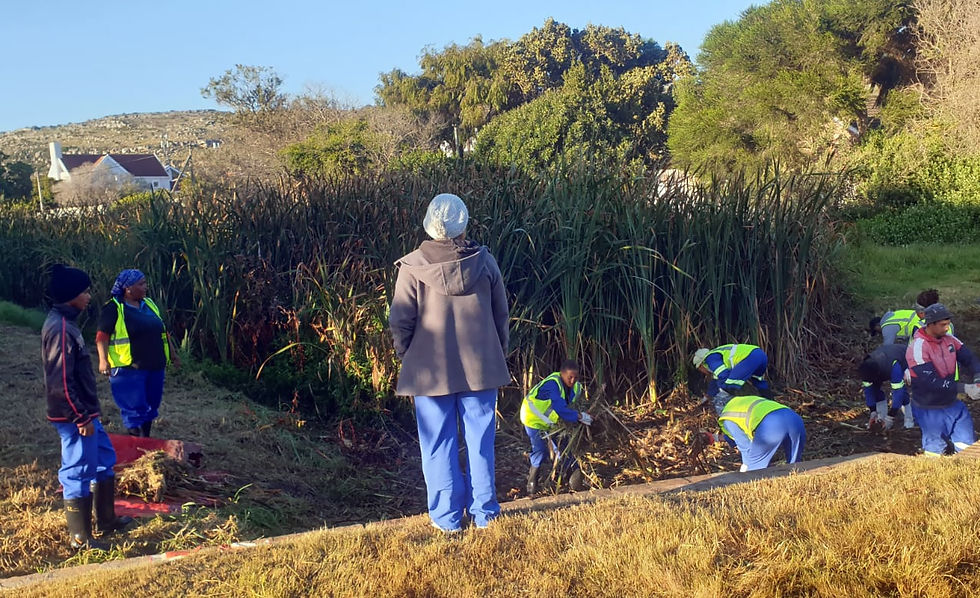 Mining for Valuables a Cause for Sewage Spills