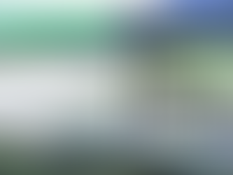 Timor Children's Foundation