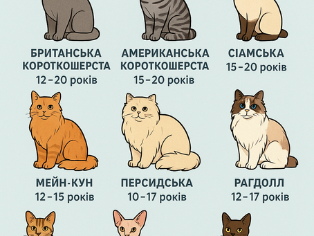 Скільки часу ваш котик буде поруч?
