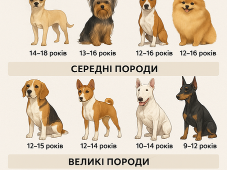 Скільки часу ваш песик буде поруч?