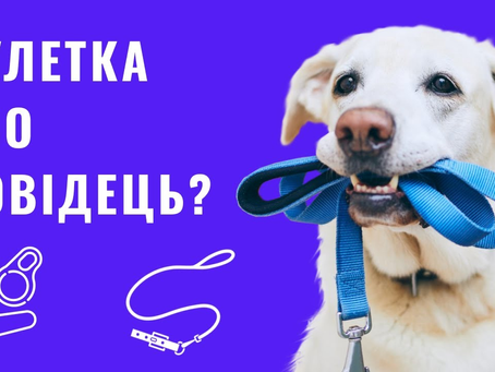 Чому для молодих собак варто обирати класичний повідець, а не рулетку