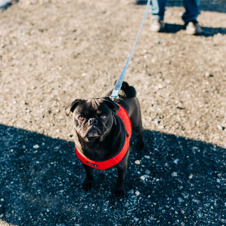 What Hope Looks Like