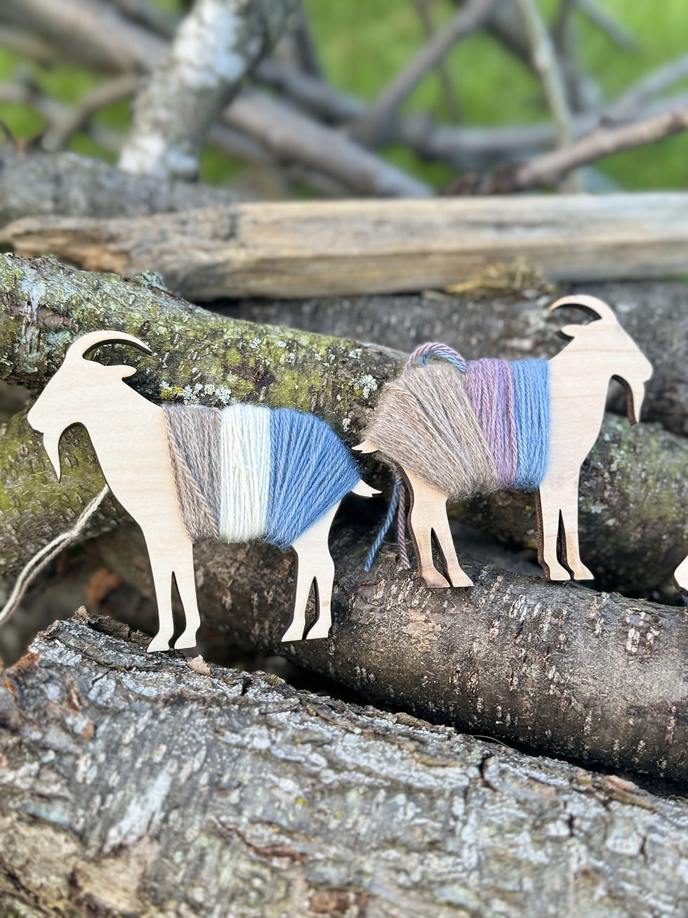 Thumbnail: You Goat This! Mending Kit