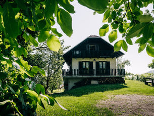 Ferienhaus Vrbekova Gorca